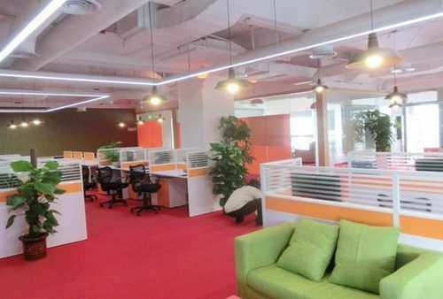 白城天竺葵花銷售