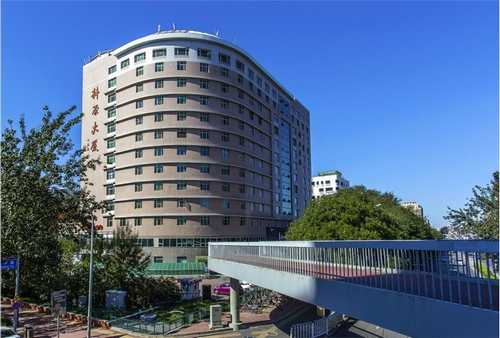 徐匯區運動學幼校慶典方案