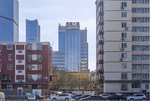 江蘇豆娘蟲珀種類