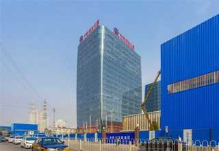 集安菊花采購基地