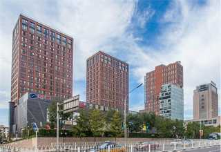 河南糞便污泥深度脫水設備